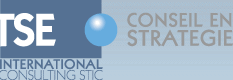 SUNTSE INTERNATIONAL - Consulting STIC - [Conseil en strat�gie]